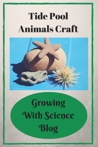 Growing With Science Tide Pool Animals Craft