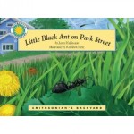 Little-black-ant Little-black-ant