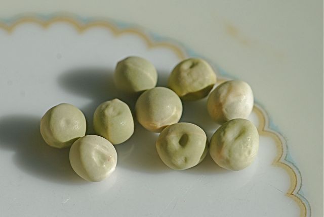 mystery-seed-11
