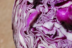 red-cabbage red-cabbage