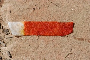 tumeric-strip2 tumeric-strip2