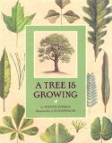 A-tree-is-growing