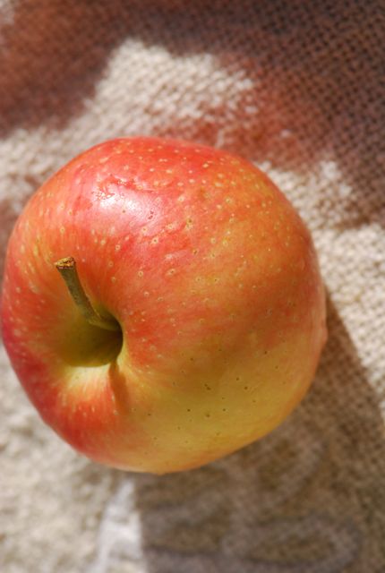 Water Apple Fruit