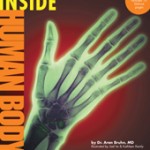 Inside-human-body-bruhn