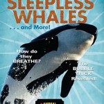 ASR_SleeplessWhales COVER3