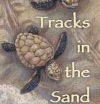 tracks-in-the-sand