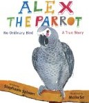 Alex-the-parrot
