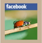 growing-facebook-badge