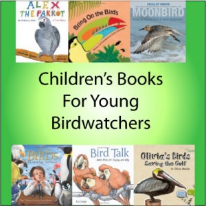 childrens-books-for-young-birdwatchers