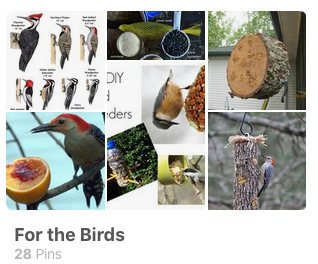 for-the-birds-pinterest-board