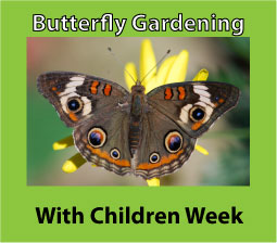 butterfly-gardening-with-children