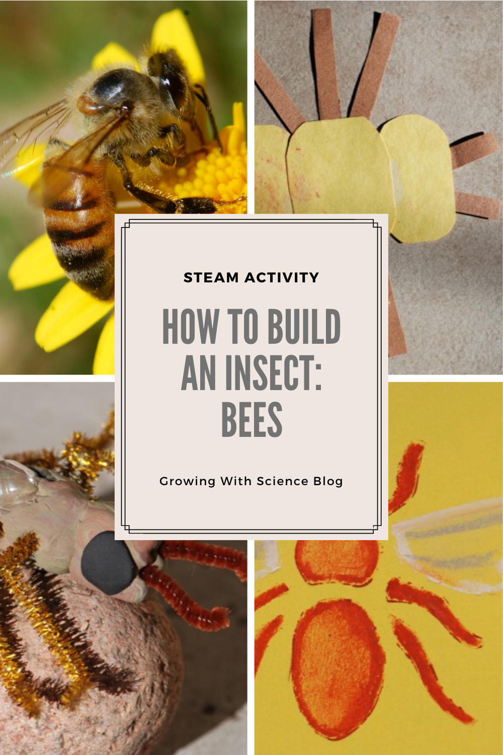 How to Build a Bee – Growing With Science Blog