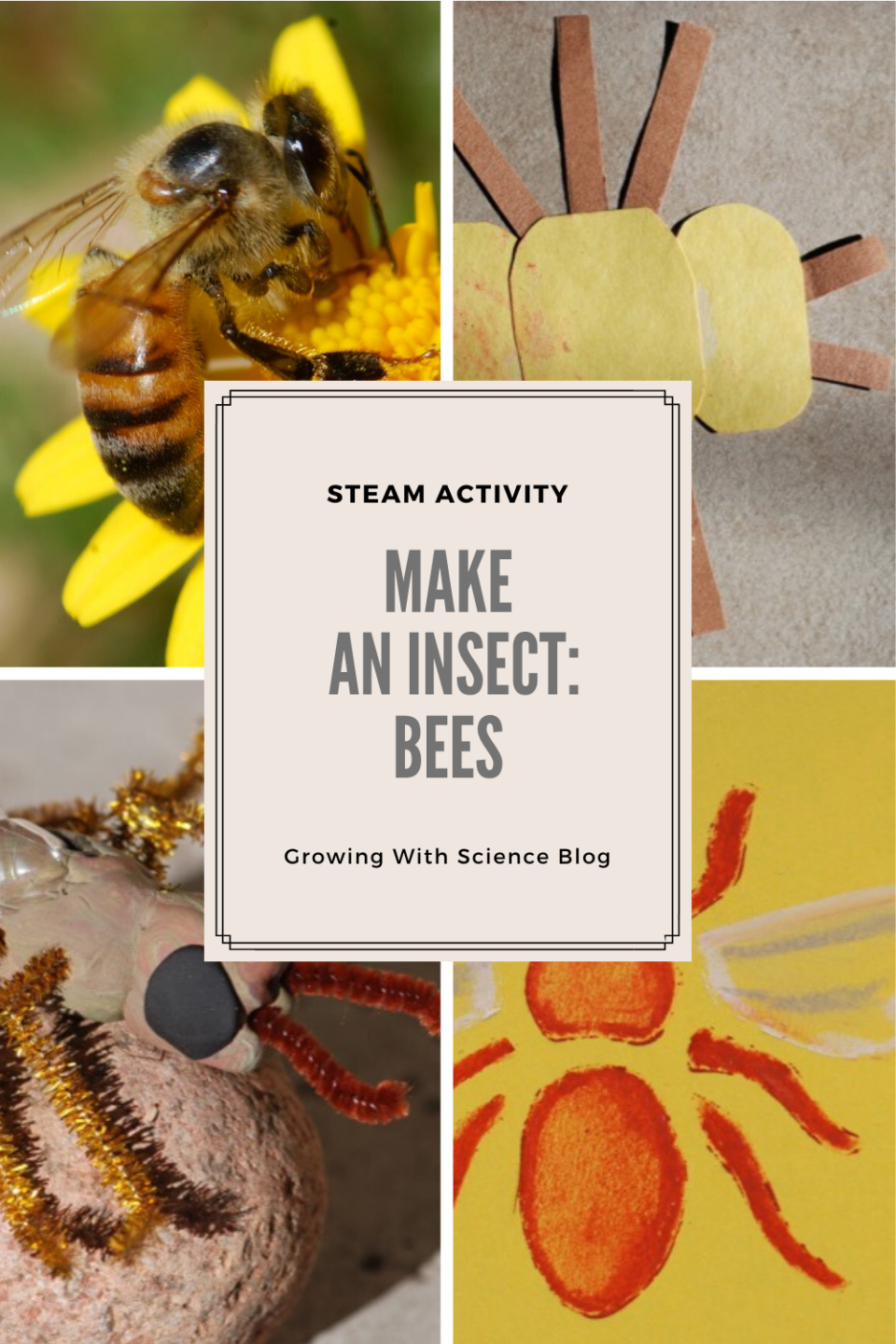 Make a bee model – Growing With Science Blog